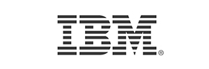 IBM 300x100